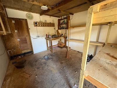 Picture 12